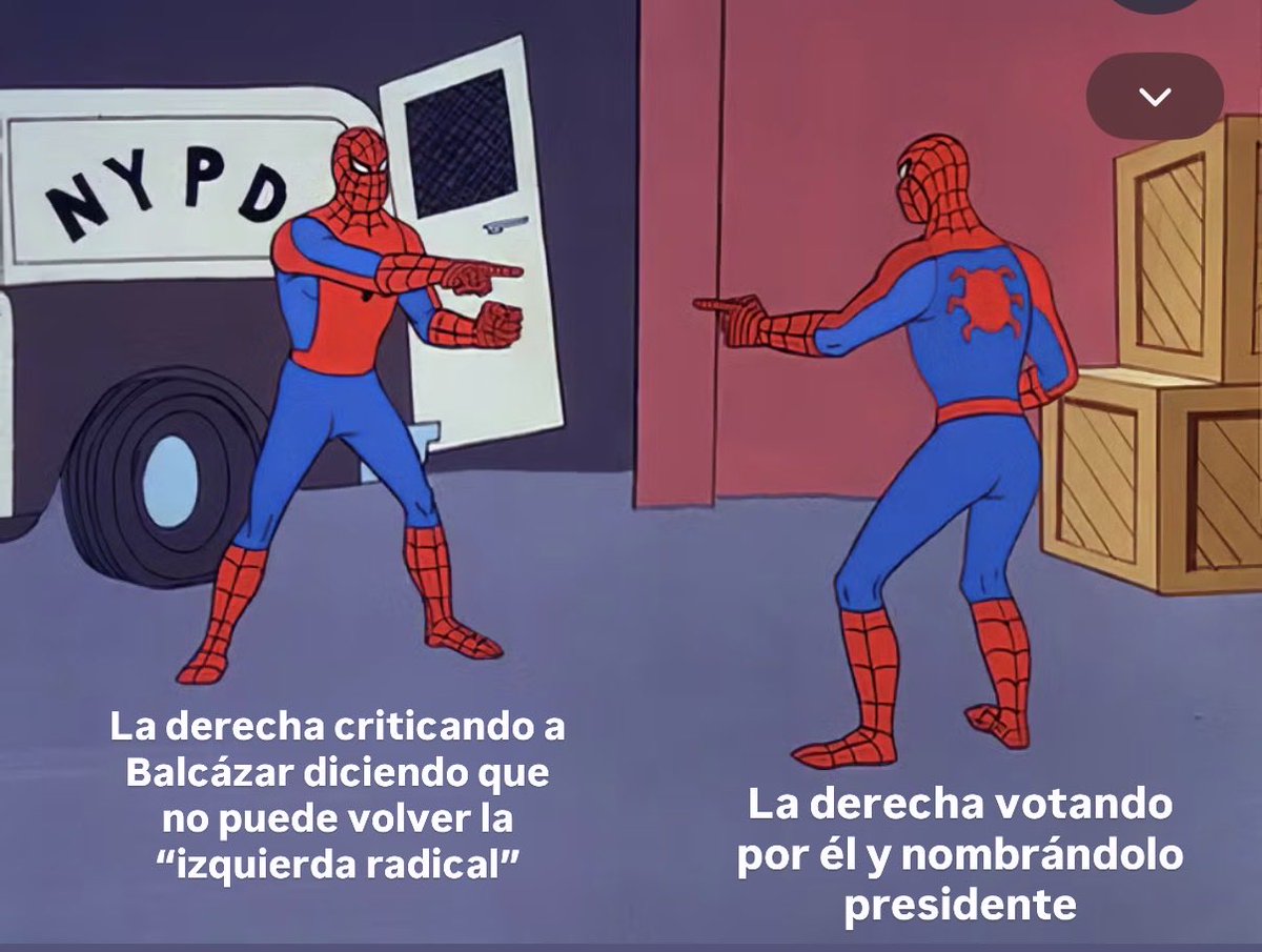 Ana Lucía Puente tweet media