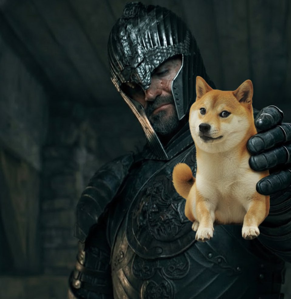 Sir Doge of the Coin ⚔️ tweet media