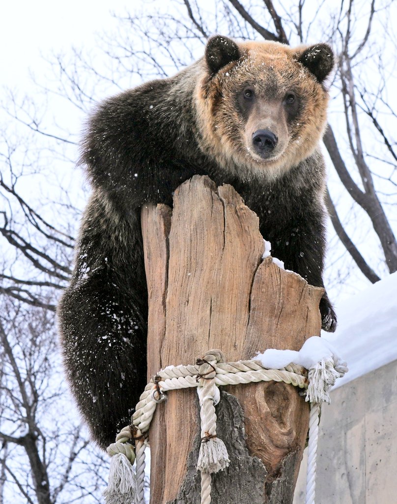 かーわいいね👍すなくん