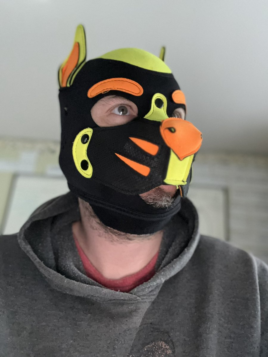 Daddy Pup Zee tweet media