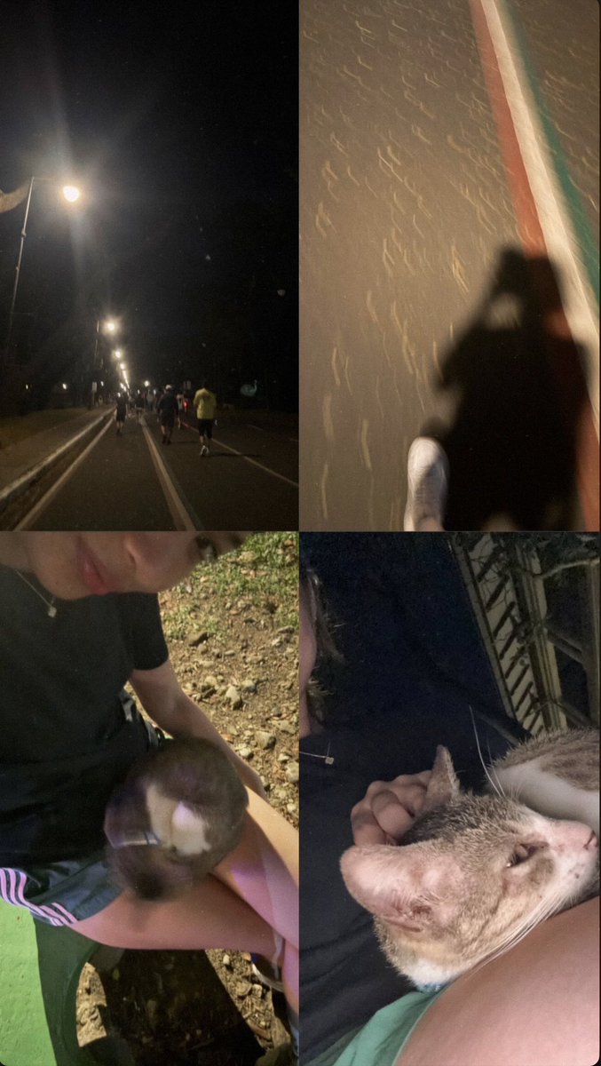 colet and her love for cats 🥹 and aww she's running again.