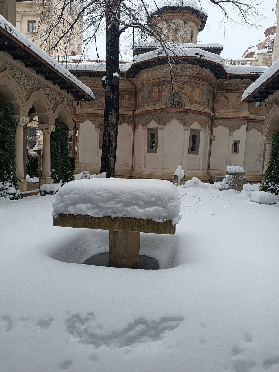 Travel_2Romania's tweet image. Buried in the snow 🙀
Piles of 2-3 m.
_________________
#snowfall #blizzard #snowday #snowstorm #Romania #February2026 
©️Go visit Bucharest