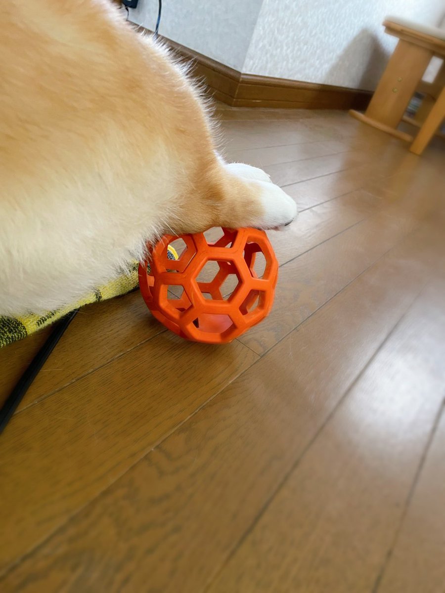 こたろう tweet media