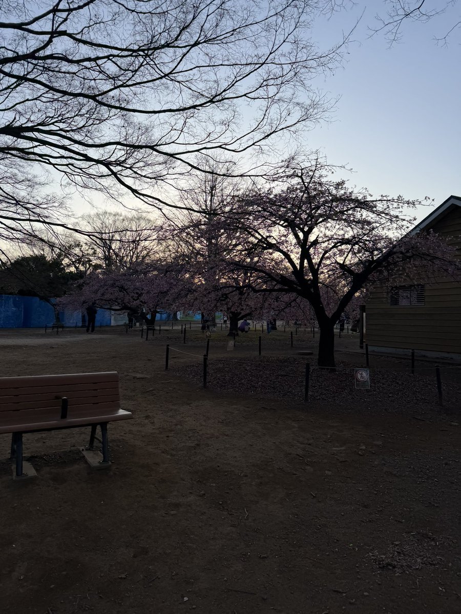 AnglyRun's tweet photo. First run in Tokyo โ Yoyogi Park. ๐ฏ๐ต๐โโ๏ธ
Feels great to run on clean, open asphalt again.โจBut the jet lag is still thereโฆ one step at a time.
#TokyoMarathon #YoyogiPark #JetLag #RoadToTokyo #MarathonPrep https://t.co/RdLZlBNnxS