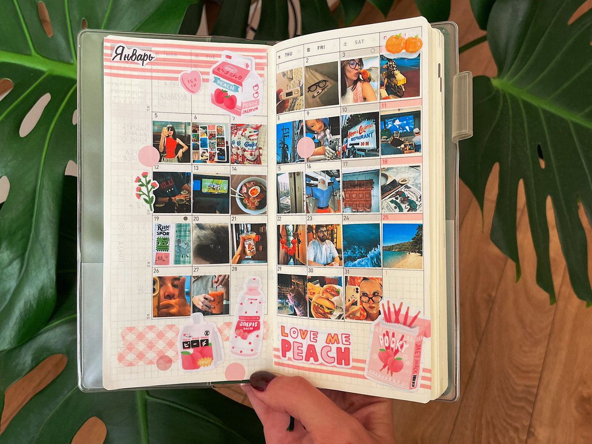 весь январь старалась делать минимум по одному фото каждый день

мои фавориты: ресторан Cabbages&amp;Condoms, попугай-кочка и кот, пьющий из аквариума