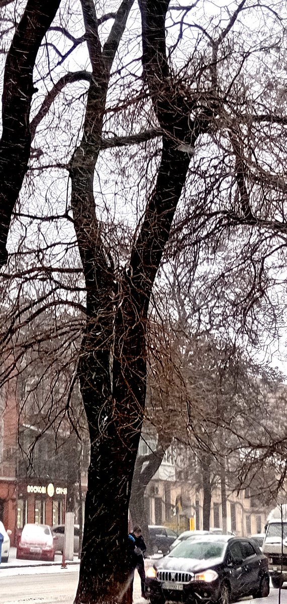 Катерина Галич tweet media