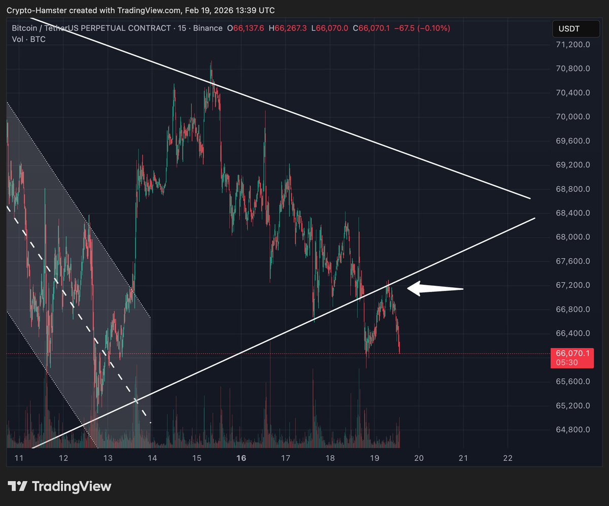 CryptoHamster tweet media