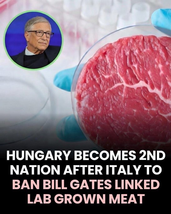 GlobalDiss's tweet image. 🚨 The rest of the WORLD should follow!