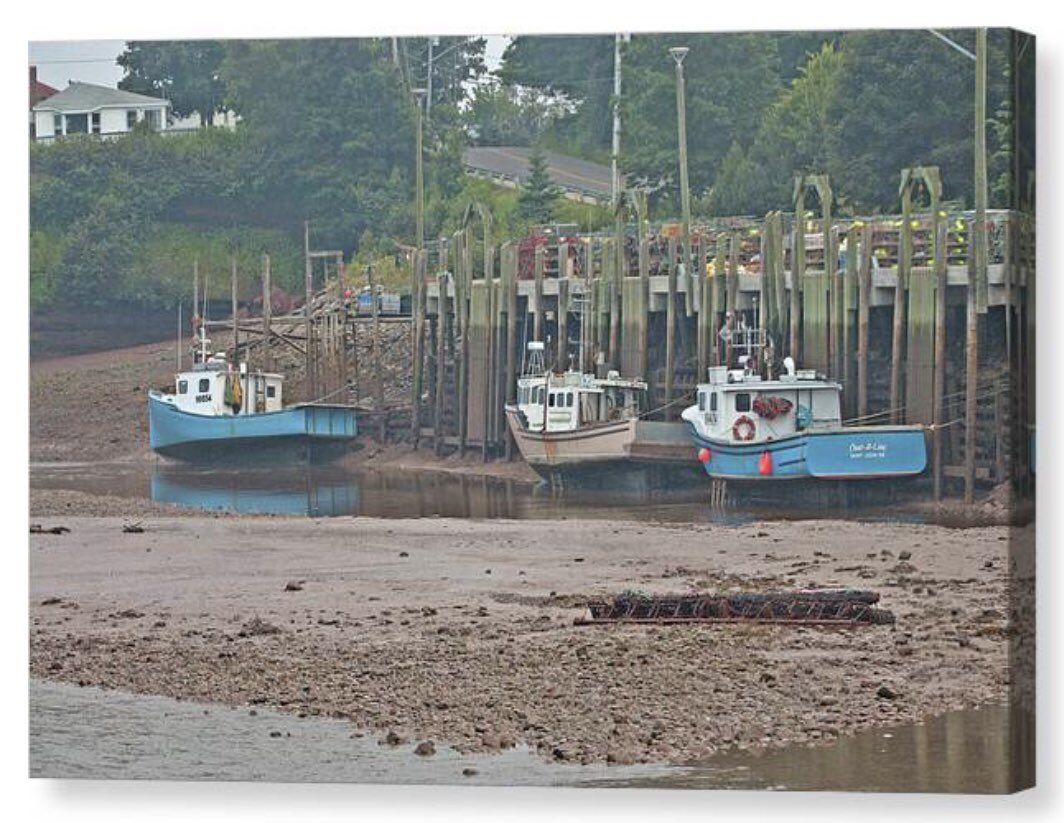 shonna99784's tweet image. Boats Resting in Low-Tide Harbour - Canvas Print shonna-hawkins.pixels.com/featured/boats…

#Boats #Resting #LowTide #Harbour #NewBrunswick #StMartins #CanvasPrint #FineArtPrints #WallArt #HomeDecor #ShonnaHawkinsPhotography #BuyIntoArt