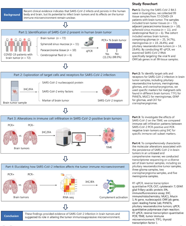 Harry Spoelstra tweet media