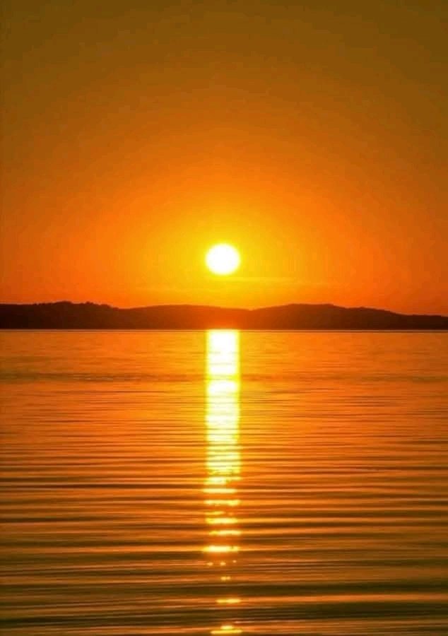 𝕸𝖆𝖗𝖇𝖊 tweet media