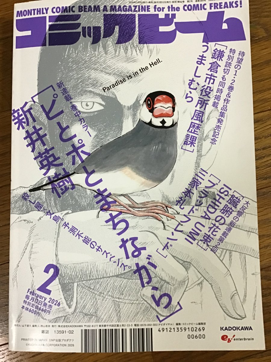 新井英樹先生の新連載が始まった。殺し屋×文鳥と全く意味不明😂文鳥を