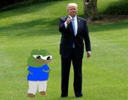 What could be better than your post being shared by the President?

Being an Anon and your post being shared on the 17th by Q+