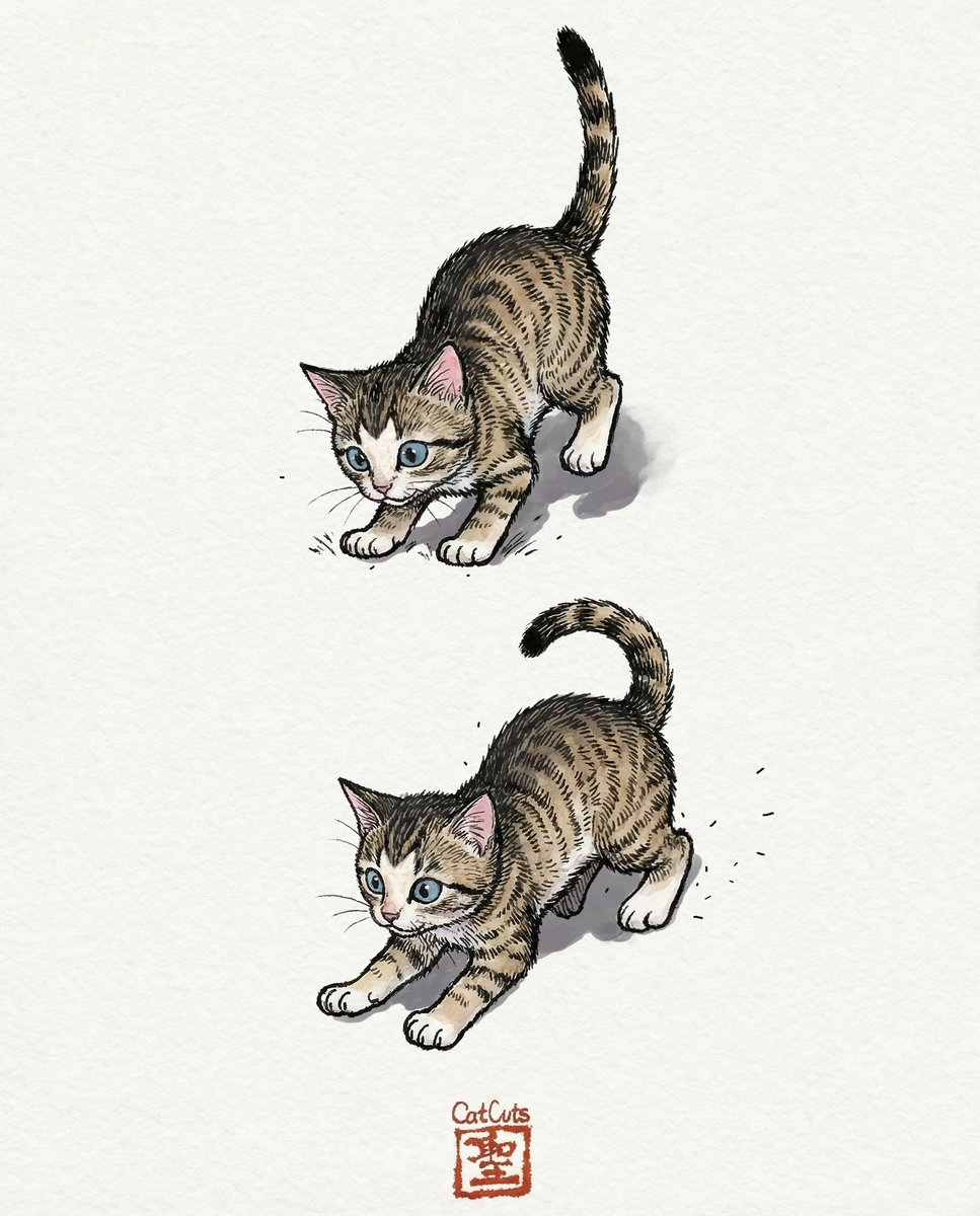 CatCuts✴︎描き猫✴︎ tweet media