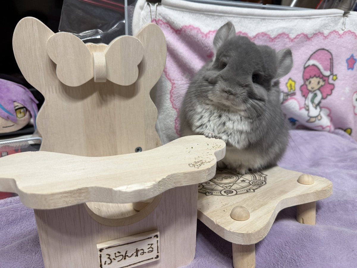 Chilla Stage (チラステージ) (@ChillaStage8113) / Posts / X