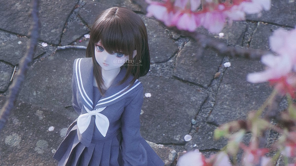 Post by めるみぃちゃん on X: 🌸