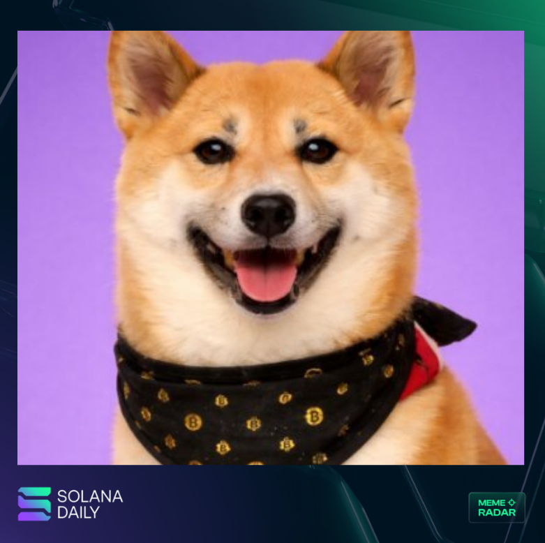 Solana Daily tweet media