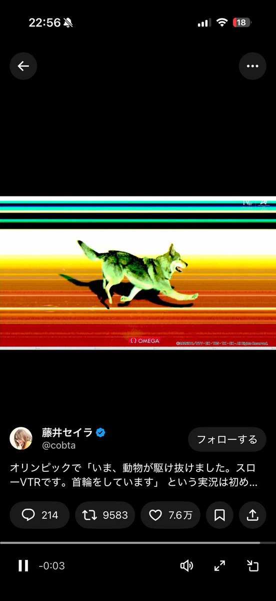 草 こう言うの好き