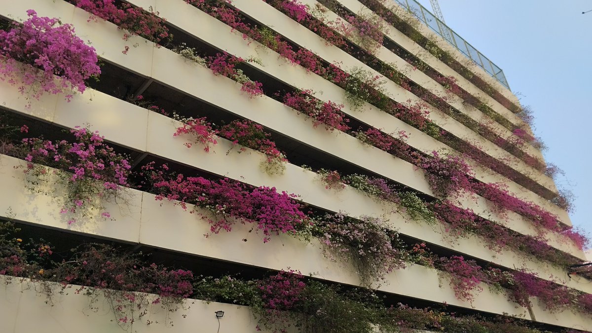 20centboy tweet media