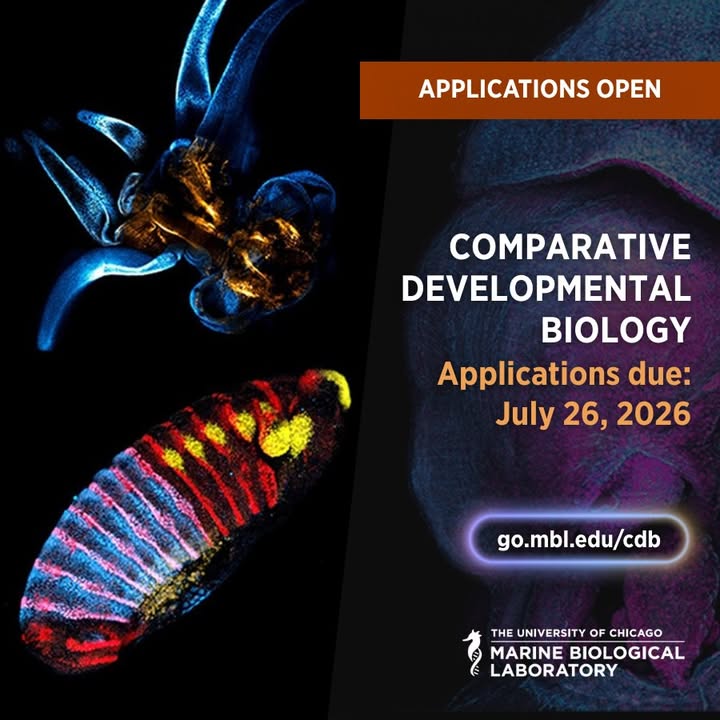 Marine Biological Laboratory (MBL) tweet media