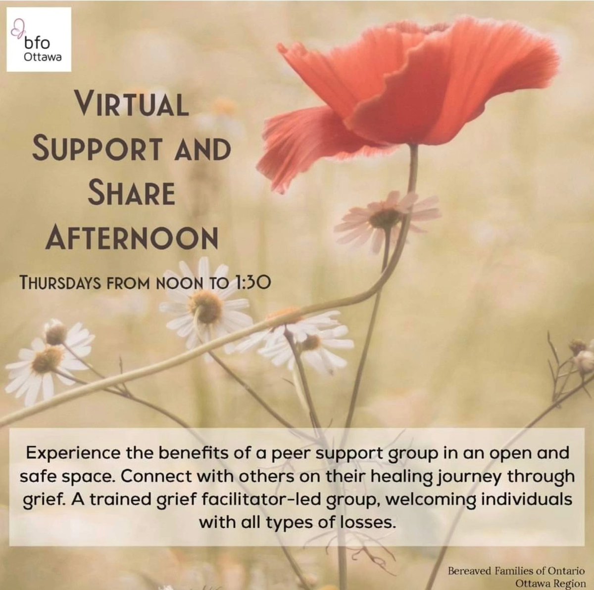 Virtual Support &amp; Share Afternoon
Thursday, February 19
12:00 – 1:30 pm
Registration details here:
lp.constantcontactpages.com/ev/reg/yghhk6k