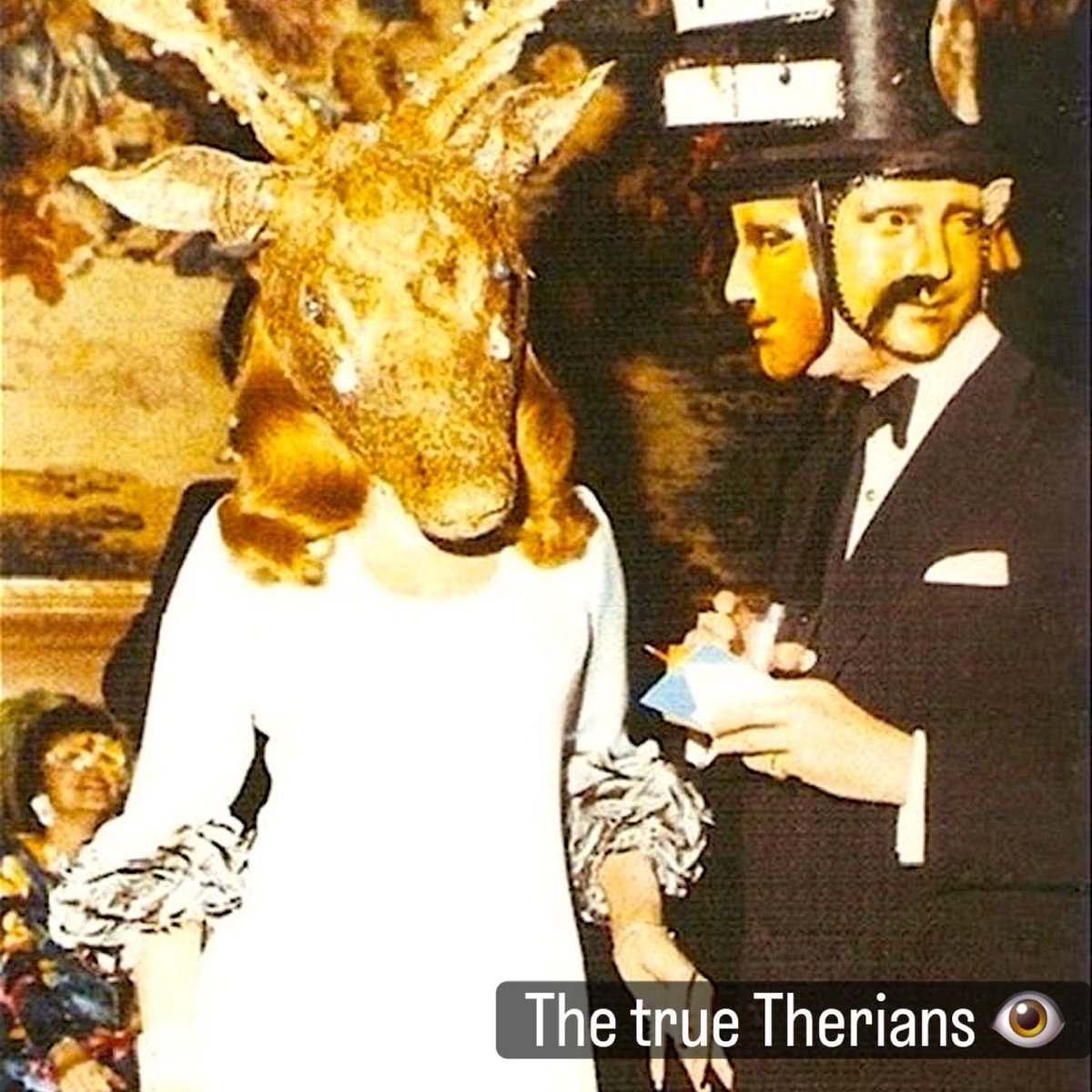 gerrysays's tweet photo. GET DISTRACTED YOU PEASANT!
Narratives and perception control reality.
What do they want you to be focused on?
Nothing is.
Open your eyes.
#conspiracy #therians #higherfrequency #higherconsciousness #spirituality https://t.co/XUbDBAyPVf