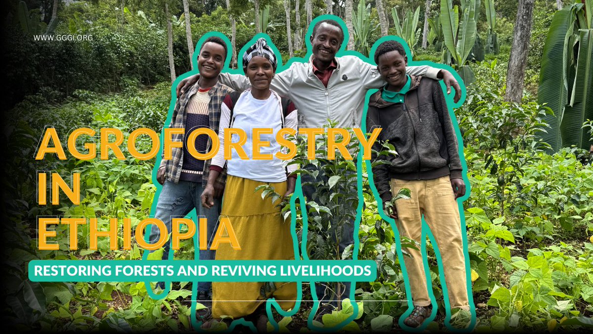 GGGI Ethiopia tweet media