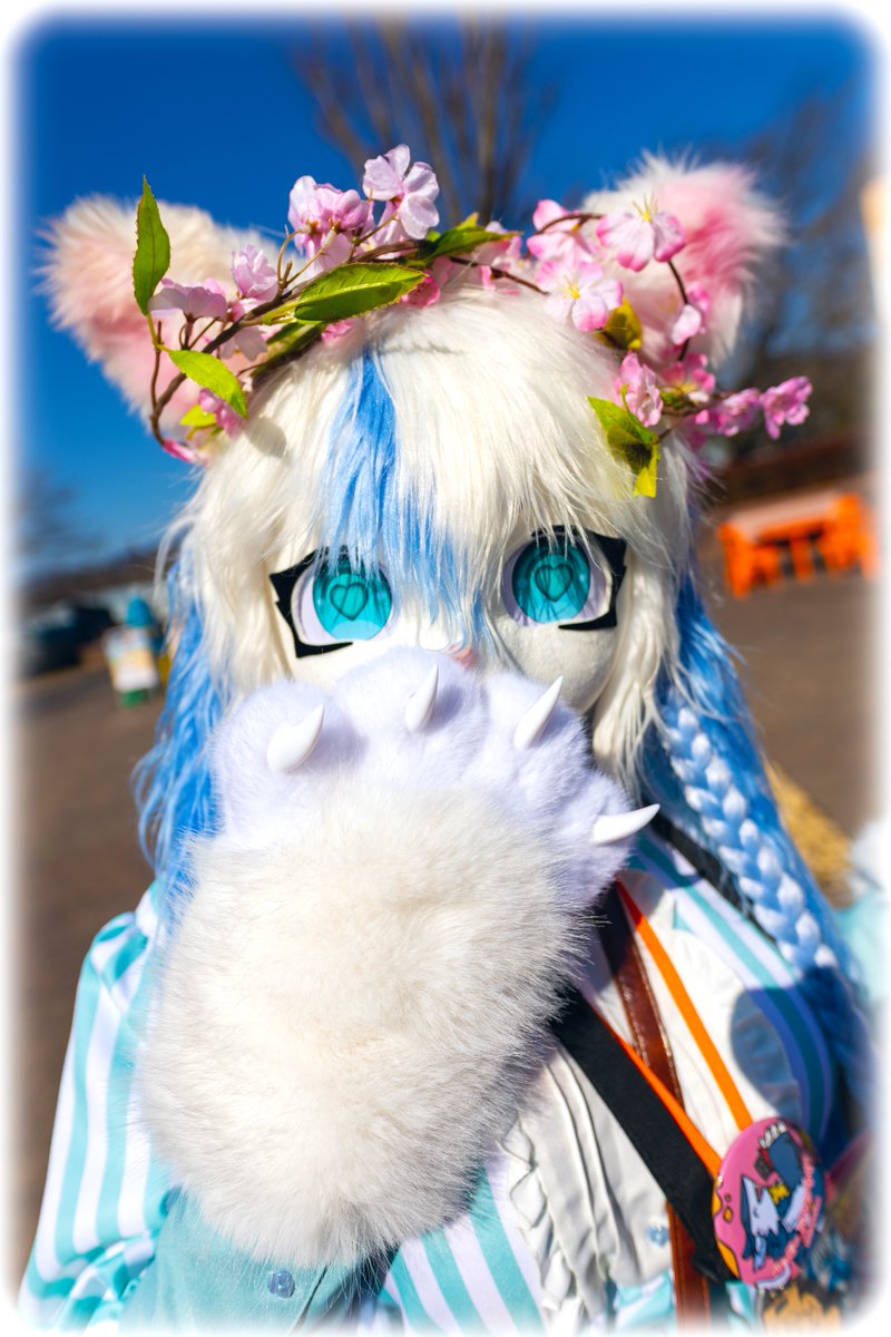 ≧∀≦*)ﾉｼ＜にゃにゃ〜❣️ 沢山のみ〜にゃのお写真有難うなのですよ〜💖