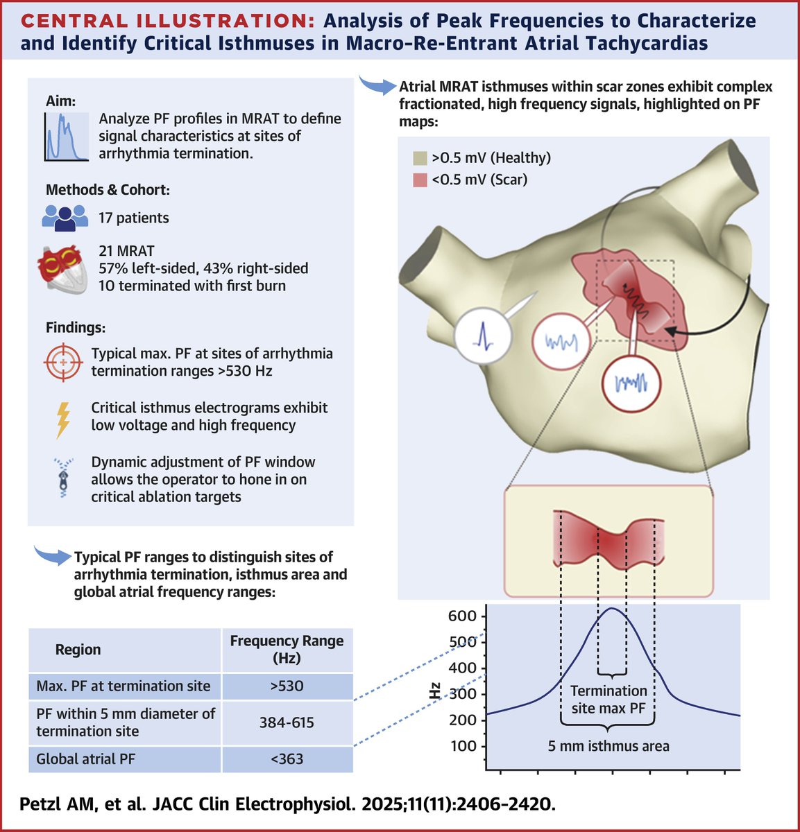 Kansas ACC tweet media