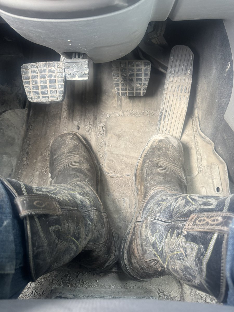 AyyTee 🔜 Anthrocon tweet media