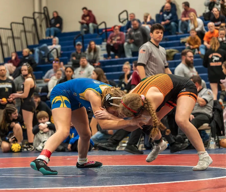 Wrestle Like A Girl tweet media