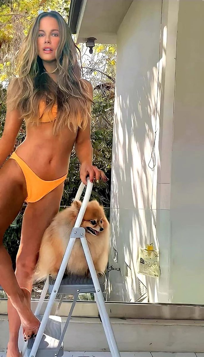 79SteelyMatt's tweet image. Pomeranian’s are the best dogs 🐾🐾