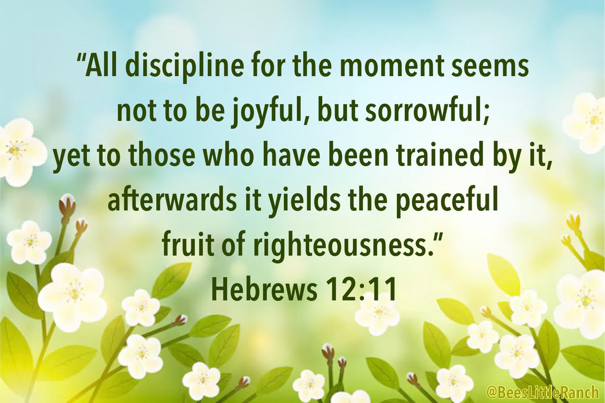 Bee’s Little Ranch tweet media