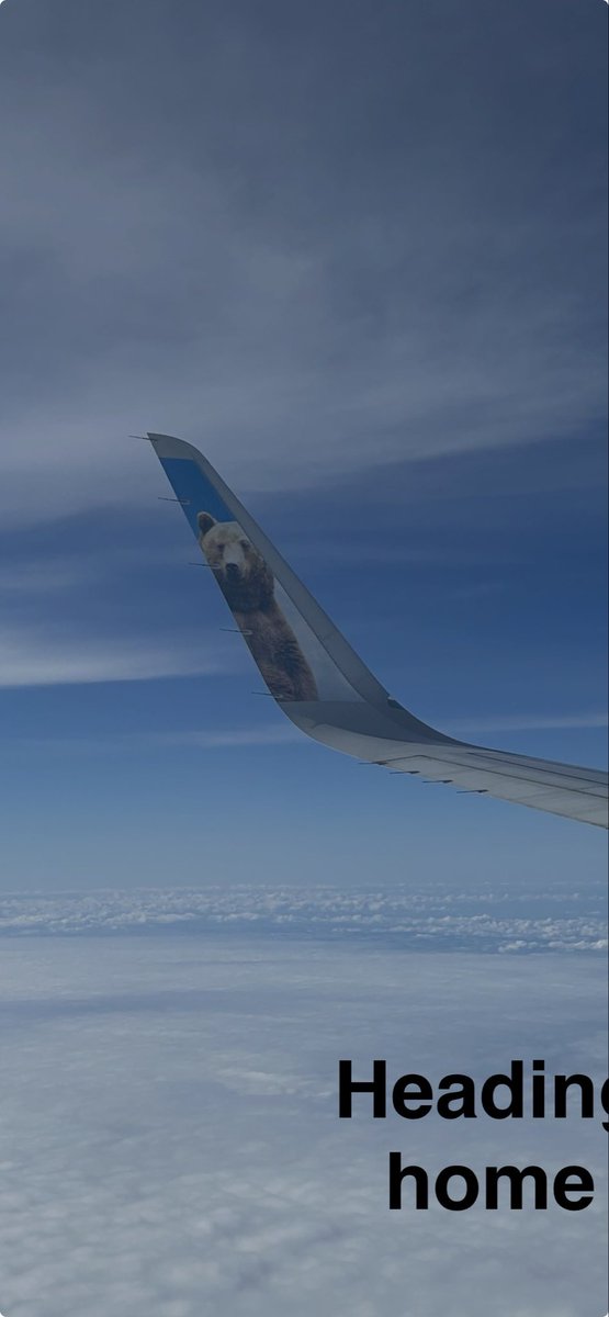 Pitbull 24/7 tweet media