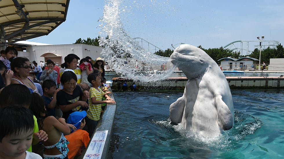 $BeluChad 💦💦💦