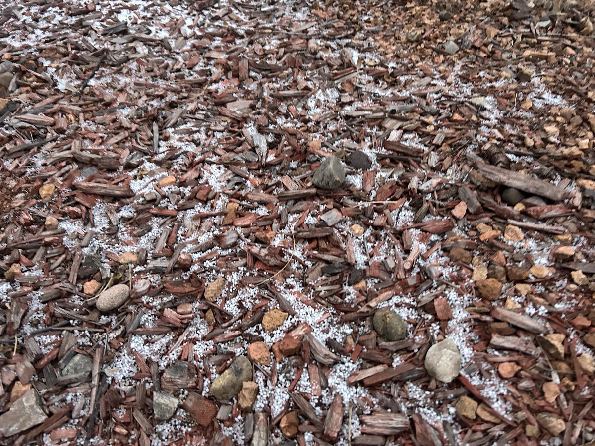 CoachPMA's tweet image. Dear @JimVegas63… We had an overnight dump of snow… I’m not sure how we will be able to continue.. #TimeToRebuild