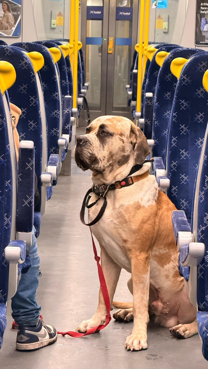 ScotRail tweet media