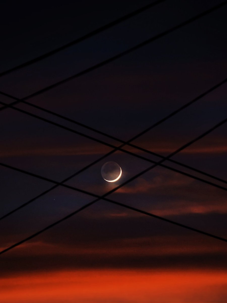 Auditya Venkatesh tweet media