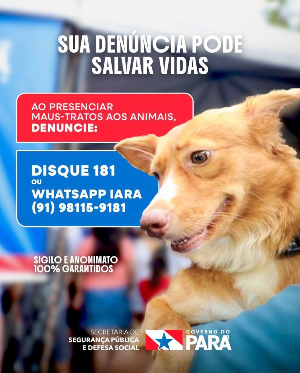 Maltratar animais é crime no Brasil.

Presenciou maus-tratos ? Não se cale. Denuncie !

A informação e a denúncia são ferramentas essenciais para previnir novos crimes e garantir a aplicação da lei.

#GovernodoPará #NãoAosMausTratosDeAnimais