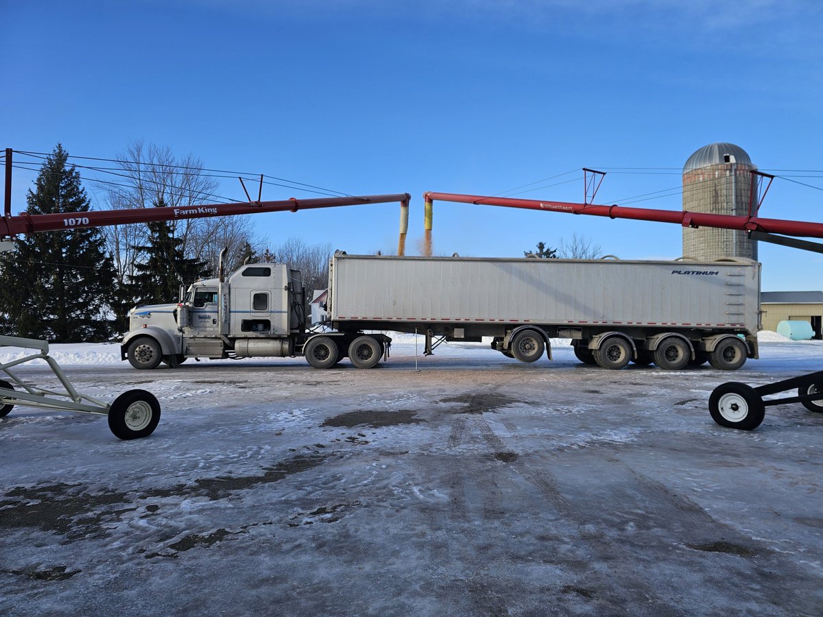 Tim VanGilst 🚛🌾🌽🇨🇦🇳🇱 tweet media