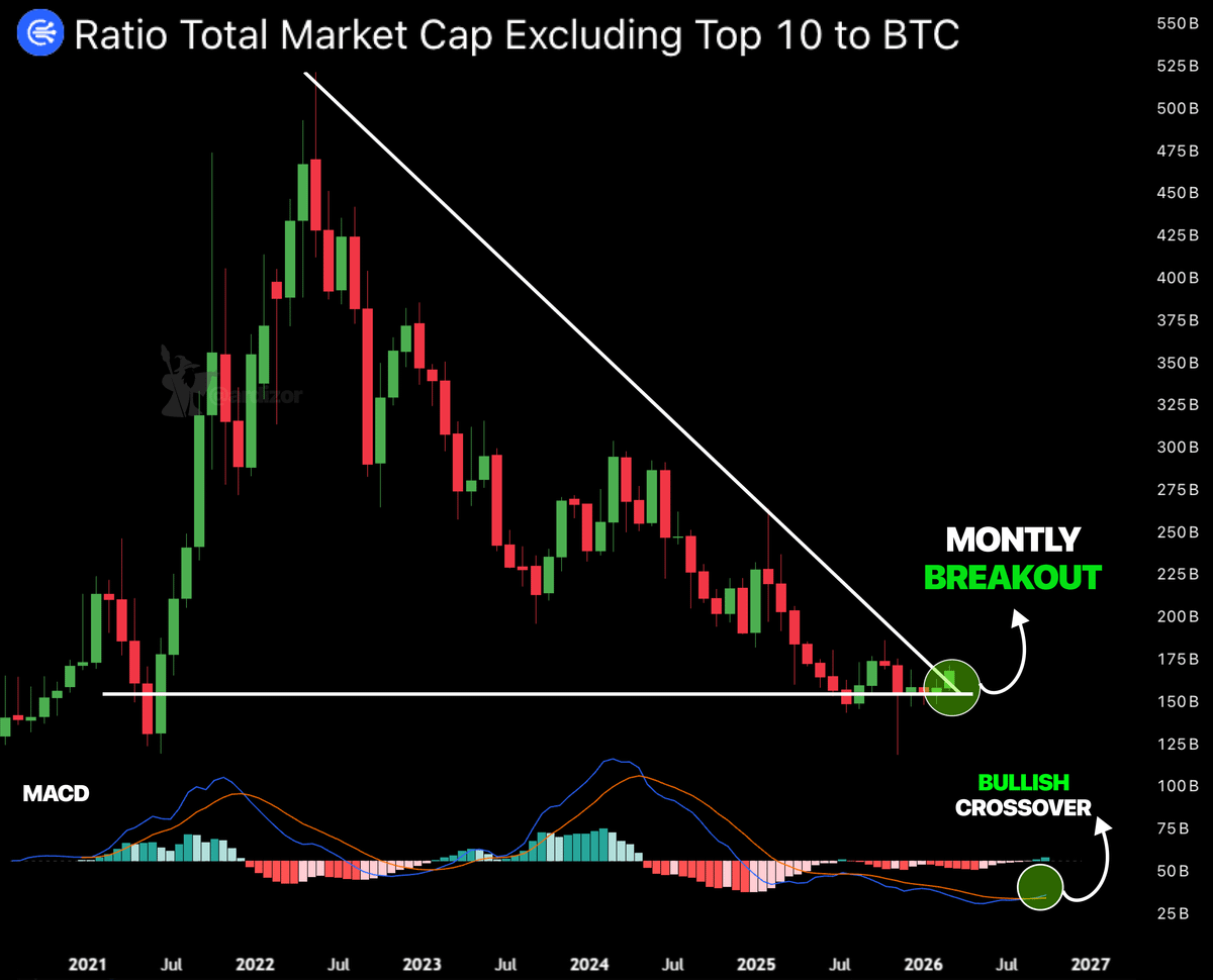 ardizor 🧙‍♂️ tweet media