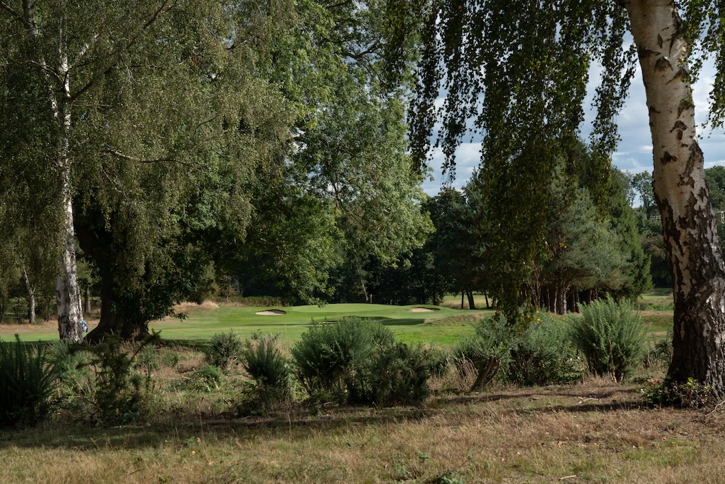countygolfclub's tweet image. Ranked among the Top 100 courses in England, @countygolfclub is the perfect place to sharpen your game for the season ahead.
Plan your visit today: countygolfclub.co.uk

#golf #golfing #golfsociety