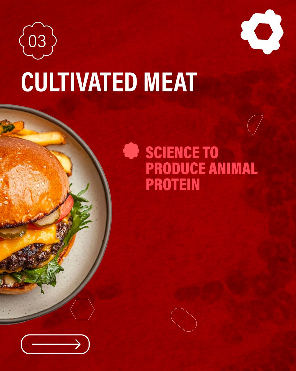 BioTech Foods tweet media