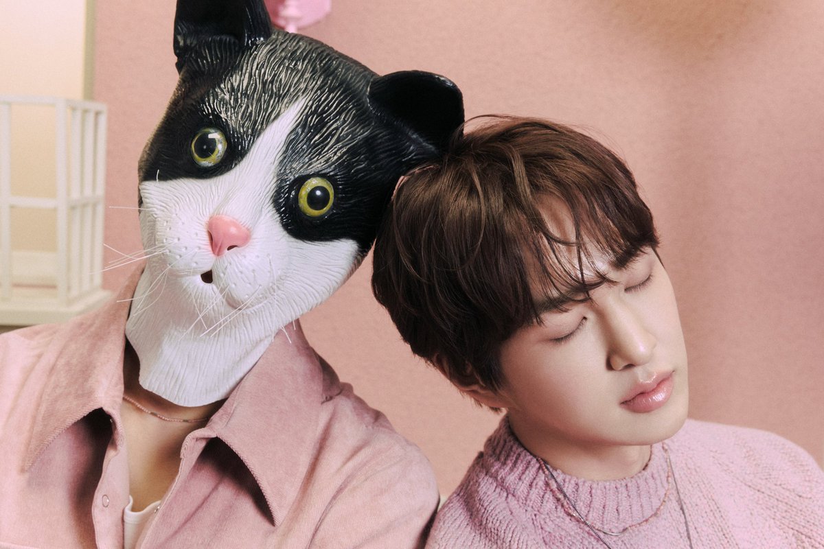 anjing apah kucing si ini