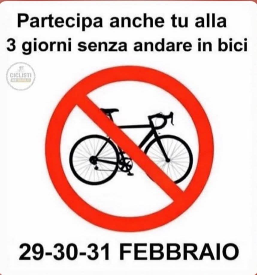 Il signore delle GIF tweet media