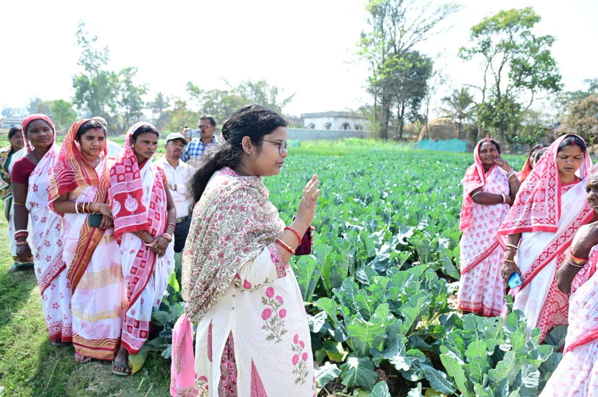 DMF Kendujhar tweet media