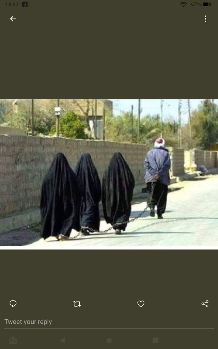 Erebus Achilles tweet media