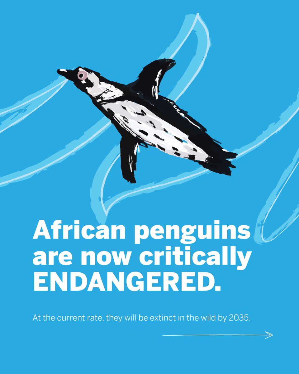 Africa Travel Week tweet media