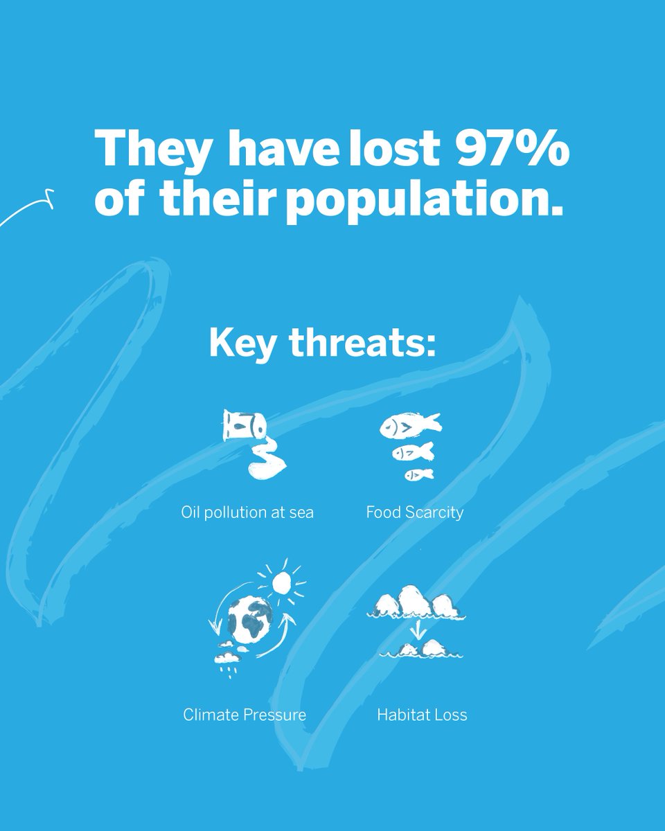 Africa Travel Week tweet media