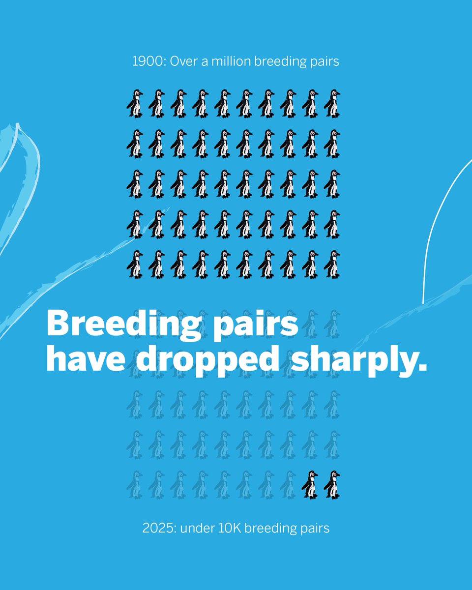 Africa Travel Week tweet media